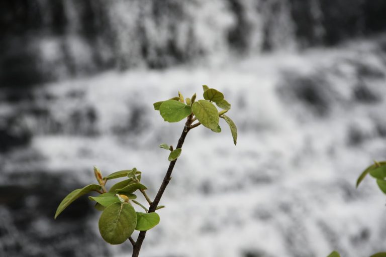 अखिल शान्ति है तुम्हारा ध्यान