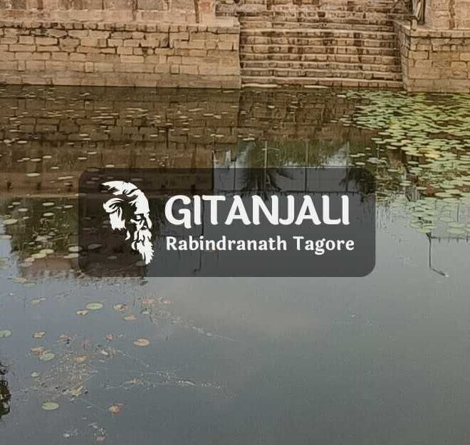 On the day when the lotus bloomed