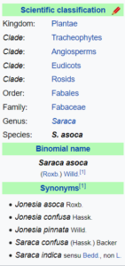Scientific Classification of Saraca Asoca