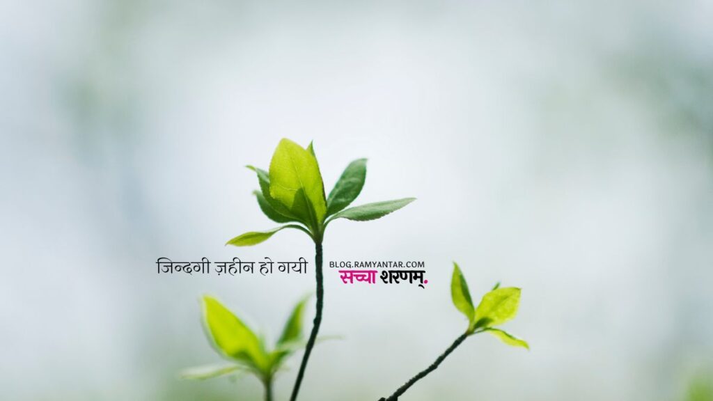 ज़िंदगी पर कविता