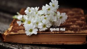ग़ज़ल – चाँदनी या मुख़्तसर सी धूप लाना