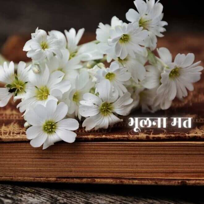 ग़ज़ल – चाँदनी या मुख़्तसर सी धूप लाना